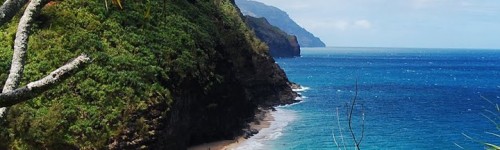 Dit is een headerfoto
